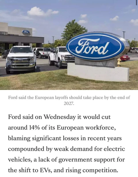 photo_5540@21-11-2024_15-29-06