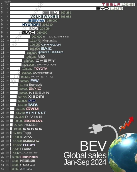 photo_5563@24-11-2024_16-49-28