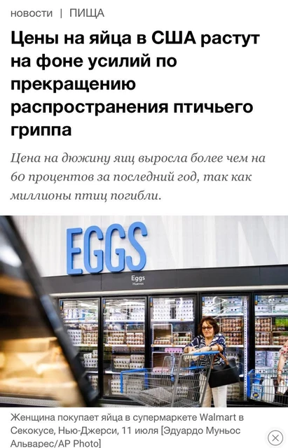 photo_5600@27-11-2024_15-20-18