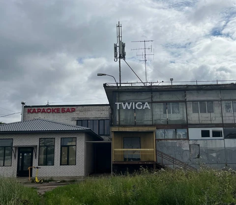 photo_4265@19-07-2024_10-46-58