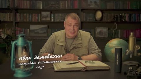 20 лет креаторы ехали на Николай Николаевиче Дроздове