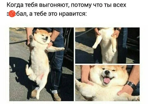 photo_2024-09-14_10-09-04