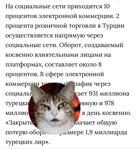 photo_2024-08-09_14-51-30