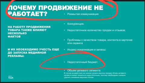 photo_5287@29-10-2024_16-44-27