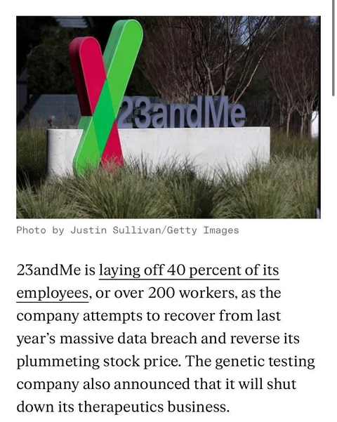 photo_5440@13-11-2024_16-25-21