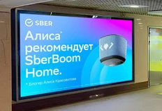 photo_4559@16-08-2024_16-50-12