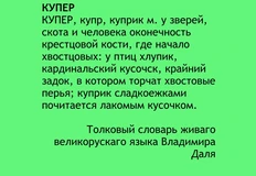 photo_4625@24-08-2024_15-26-51