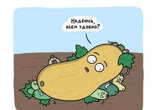 photo_4672@28-08-2024_11-03-59