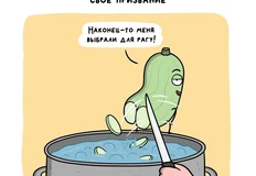 photo_4673@28-08-2024_11-03-59