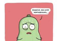 photo_4675@28-08-2024_11-03-59