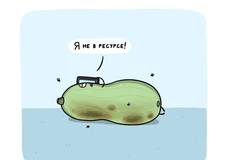 photo_4676@28-08-2024_11-03-59