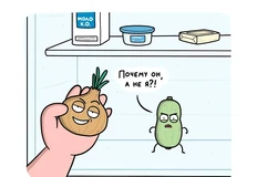 photo_4677@28-08-2024_11-03-59