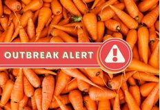 photo_5528@20-11-2024_10-37-26