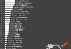 photo_5563@24-11-2024_16-49-28