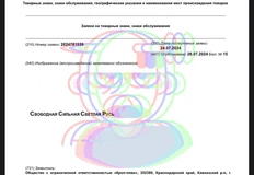 photo_4387@30-07-2024_14-05-32