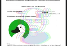 photo_2024-08-11_12-52-06