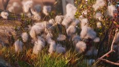 Газпром Нефть