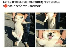 photo_2024-09-14_10-09-04