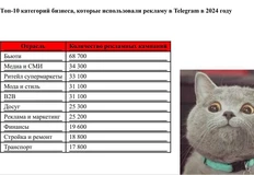 🤓Пообщались с МТС AdTech и выудили из них статистику рекламных запусков в Телеграм за 2024 год  обложка