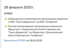 🤓Переименование «Твиги Диджитал» в «Селфклик».