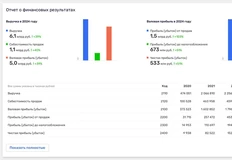 🤓Маер выкатил отчетность за 2024 год