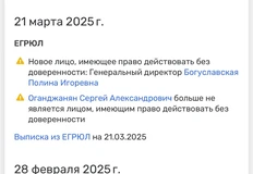 Программатик платформа Твиги Селфклик сначала поменяла название юрлица, а затем и генерального директора