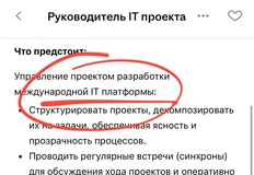 🤓Летуаль пилит какую-то «международную IT-платформу» и под это набирает руководителя проекта