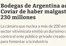 🤓230 млн $ растворились в вине.  Палата "Винодельни Аргентины", объединяющая более 200 компаний, обвинила государственно-частную корпорацию Coviar в нецелевом расходовании 230 млн $ за 16 лет и потребовала её роспуска