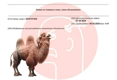 🤓Тимур Нуруахитович Бекмамбетов регистрирует верблюда в патентном ведомстве