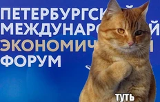 🤓Сегодня первый день ПМЭФа. Сообщают, что это самый злой форум в истории по части отказа в регистрациях
