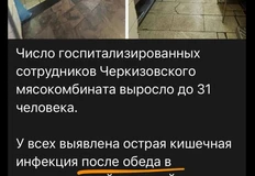 photo_2024-08-09_15-14-36