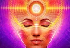 photo_5370@07-11-2024_11-55-30