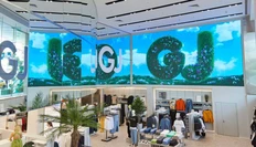 photo_5378@08-11-2024_11-47-06