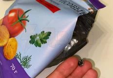 photo_5398@11-11-2024_09-55-13