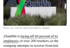 photo_5440@13-11-2024_16-25-21