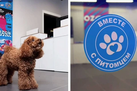 🤓Маркетплейсы убьют все живое. Если вы офлайн-ритейлер ответите себе лишь на один вопрос: «Почему то чем я торгую будут сейчас — завтра покупать у меня, а не на Озоне»