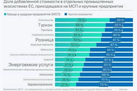 photo_5062@04-10-2024_15-01-30