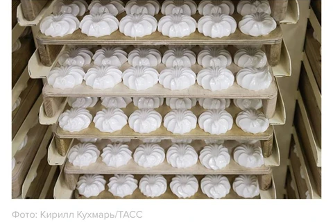 photo_5258@25-10-2024_17-04-18